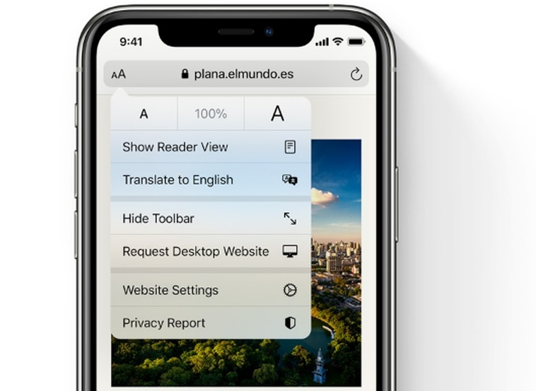 iOS 14 Safari.jpg