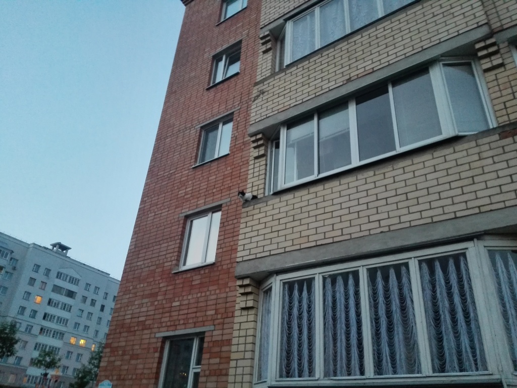 IMG_20140628_220531.jpg