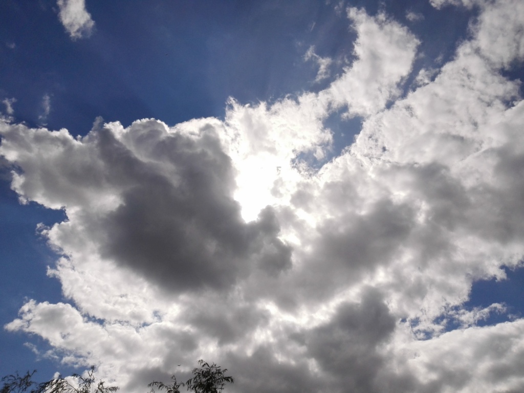 IMG_20140628_162238.jpg