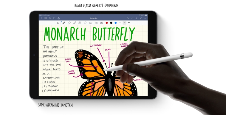 Apple Pencil.jpg