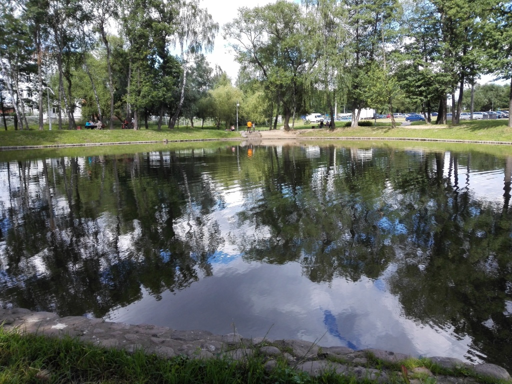 IMG_20140628_163712.jpg